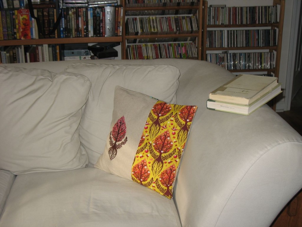 Tula Pillow by Sylvia Schaefer