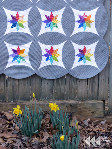 Celestial Orbs quilt | Flying Parrot Quilts